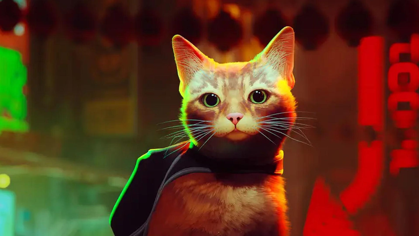 Stray - Digital Game Account