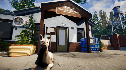 Animal Shelter - Digital Game Account